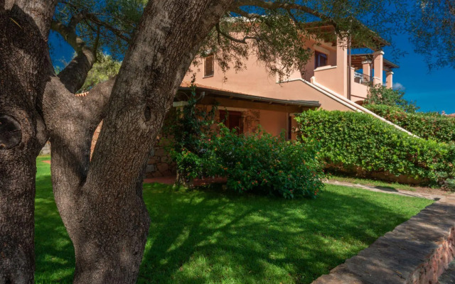 San Teodoro (Apt. 561646)