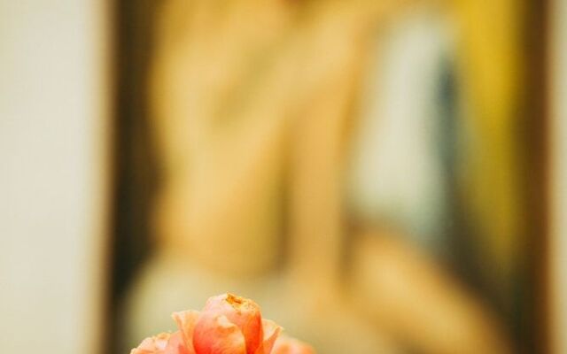 Divná Pani Luxury Gallery Rooms