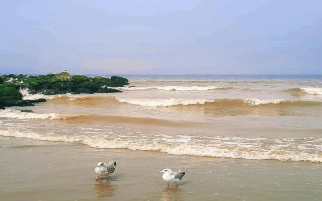 Apartment in Nieuwpoort With Sea Views