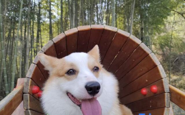 Wujian Blossom House