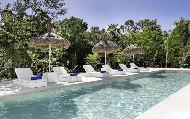 Jungle Lodge Boutique Hotel Adults Only