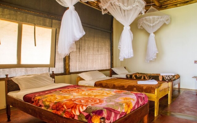 The Baboon Safari Resort