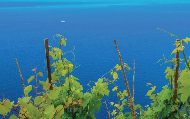 Beautiful Apartment in Orebic With Wifi