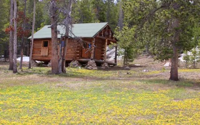 Allens Diamond 4 Ranch