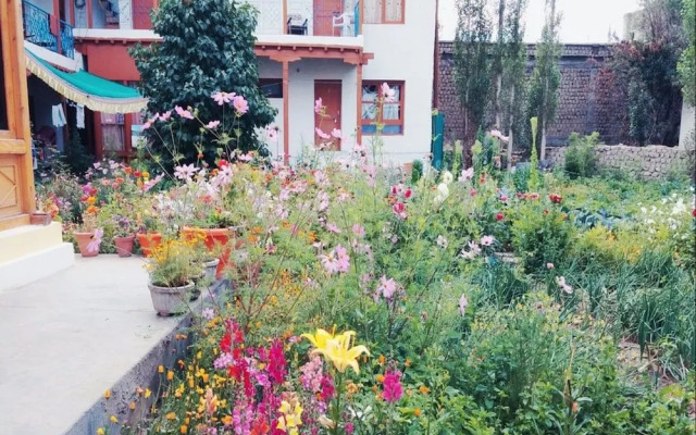 Hotel Dolma Residency