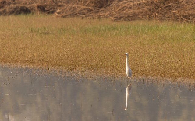 The Untamed Bandhavgarh by TUTC