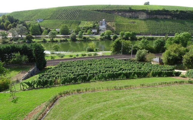 Delightful Apartment in Palzem near Moselle River