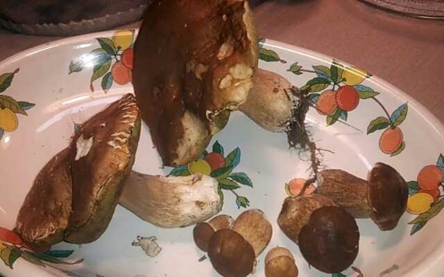 Ca-Jo Bed and Breakfast