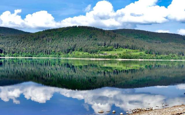 Schwarzwaldhaus Krebs - Villa Kunterbunt, Lenzkirch, Feldberg