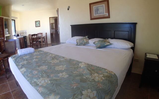 Margarita del Sol Costa Maya