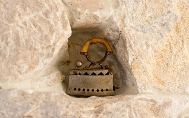 Happy Jackdaw in the Center of Split