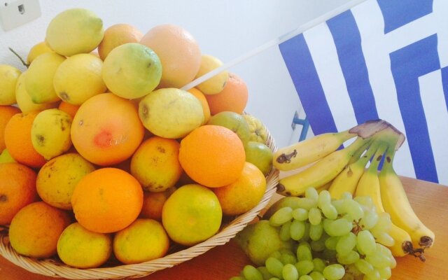 Apartment in Agia Fotia Near Crissie and Koufounisi Islands