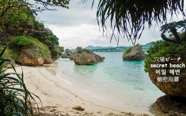 Papillon パピヨン