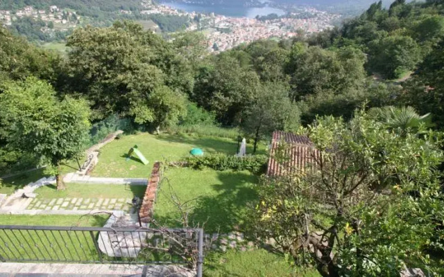 Il Pungi Topo