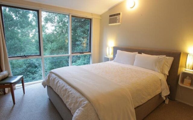 Treetop Stay