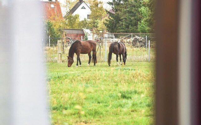 PRIMA Inn HOTEL & HOF NEURUPPIN