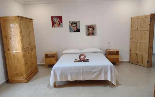 Real Owl Guest House