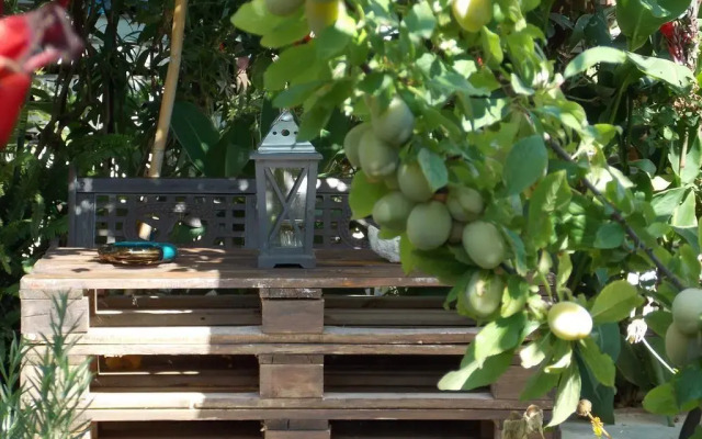 Stamatias Garden