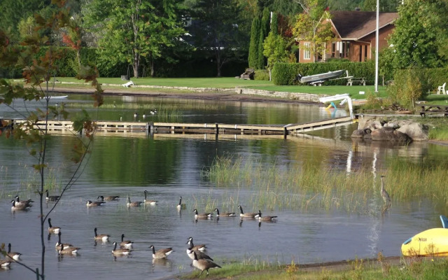 Chalets et Gîte au bord au bord du Lac Kénogami