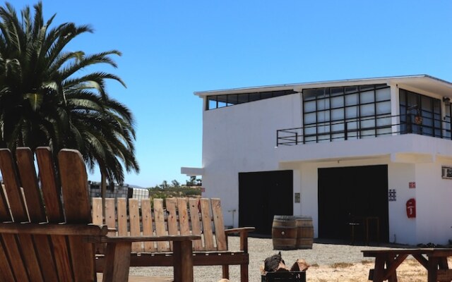 Wine country In Valle de Guadalupe