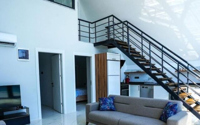 Tinyhouse Arya Ortaca