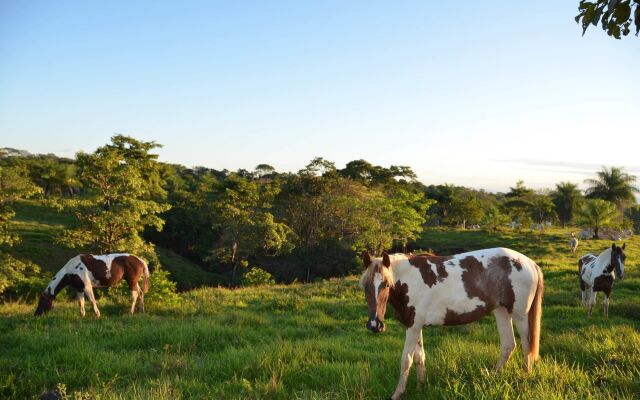 Blue Zone Bed and Breakfast at Casa Bellavista