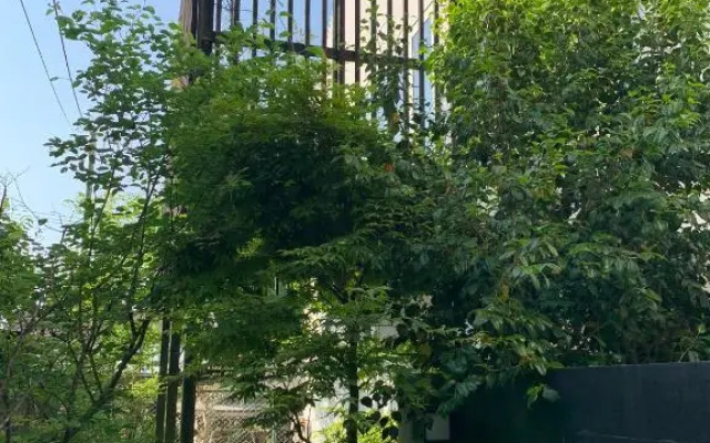 Kamakura Vacation House