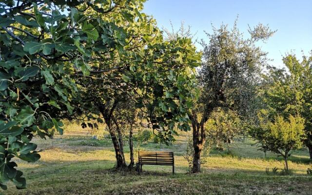 Agriturismo I Ciliegi Appartamento Ginestra