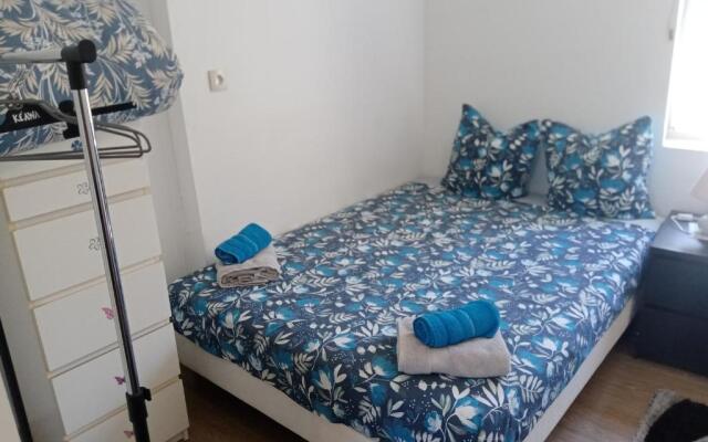 Les Hirondelles 69 de Colmar