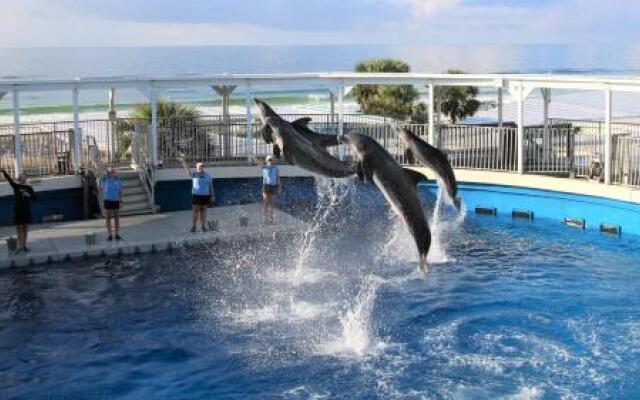 Maravilla Condominium 3401