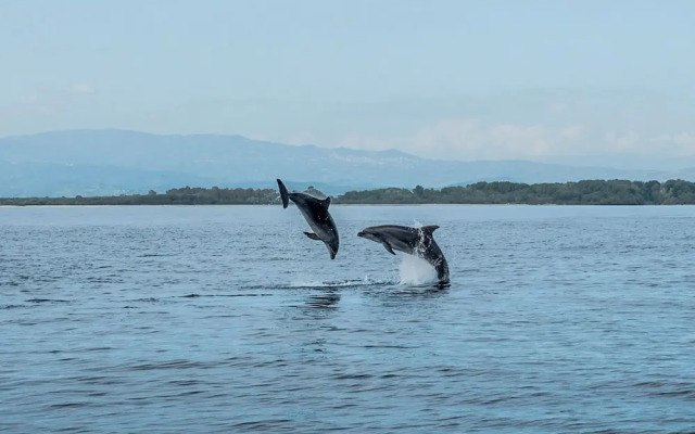 B&B La Via dei Mulini