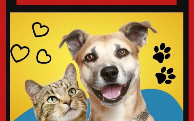 Chalé Suíço Bombinhas