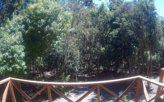 Cabanas Ensenada Bosque Nativo