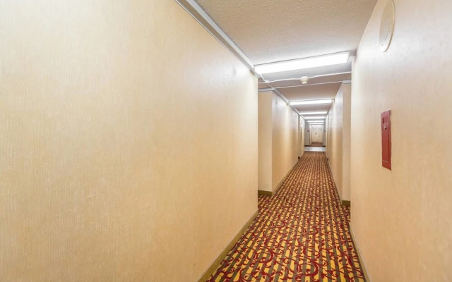 Spacious 1 BR Apartment of Downtown Toronto III