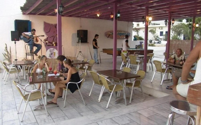 Purple Pig Stars Camping & Bungalows