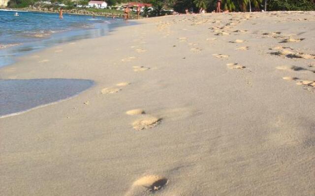 Les Algues de la Chapelle