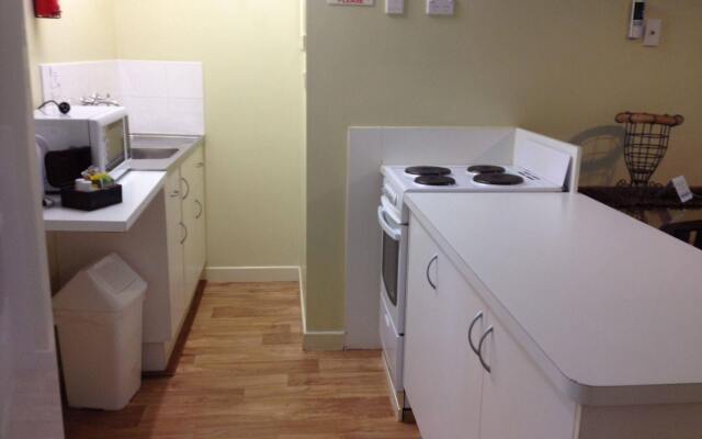 Coconut Palms on the Bay