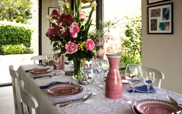 Villa Porcigliano Olive Grove