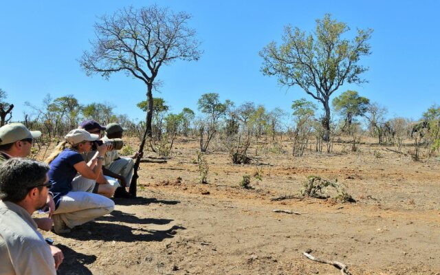 Hoyo Hoyo Safari Lodge