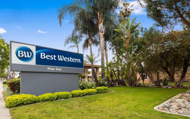 Best Western Pine Tree Motel