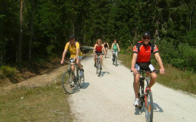 Ferienhaus Mitterdorf