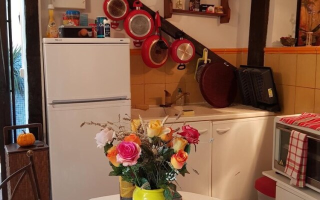 Les Nénuphars - au cœur du centre