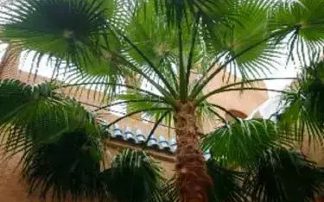 Riad Zahir