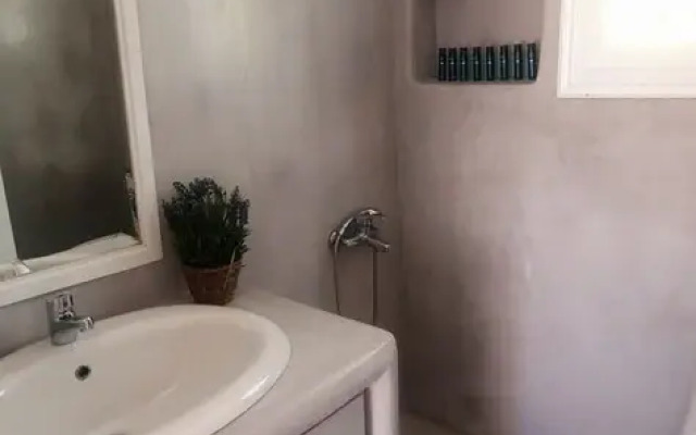 Haley Suites