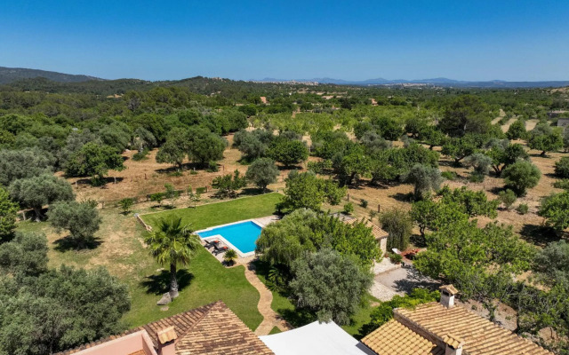 Selva - 3890, Mallorca