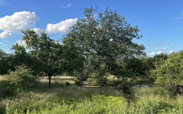 Thula Private Lodge