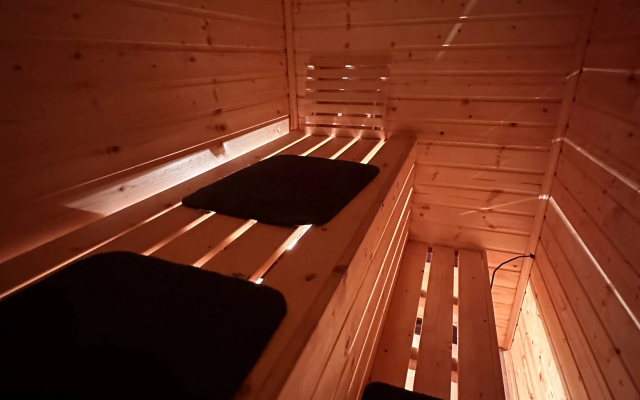 Pine Forest(Хвойный лес)