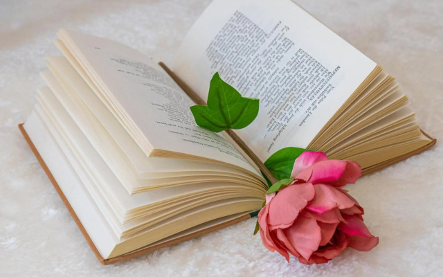 Yeshello Elegant Apartment near Central Vienna