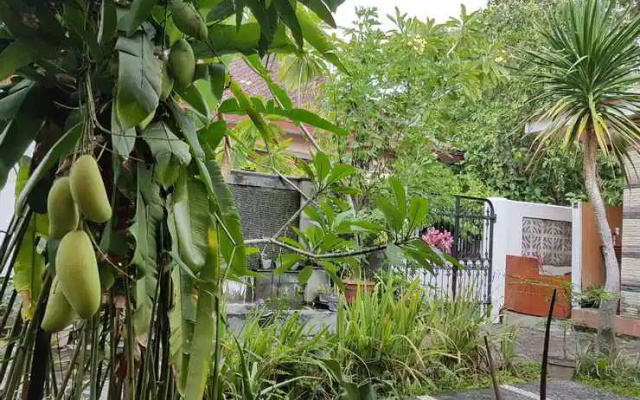 Omah Konco Yogyakarta
