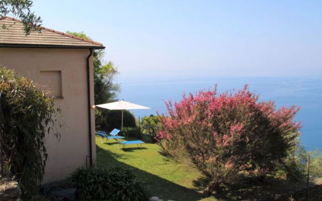 House Amalia Chiavari